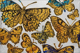 DAVID BROMLEY "Butterflies" Polymer & Silver Leaf Painting on Canvas 100 x 150cm