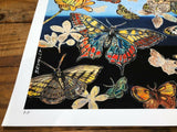 DAVID BROMLEY "Butterflies I" Printers Proof Print PP 28cm x 35cm
