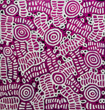 DORA MBITJANA "Awelye & Bush Melon" Signed Acrylic on Canvas 97cm x 93.5cm0