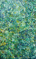45008529