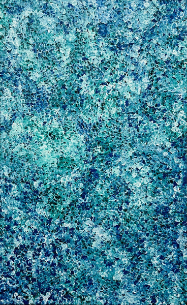 45008527