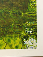 JOHN OLSEN "Frog Springs" Signed, LARGE Limited Edition Print 100cm x 105cm