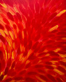 RACHAEL NAMBULA "Bush Medicine Leaves" Signed Acrylic on Canvas 113cm x 91cm0