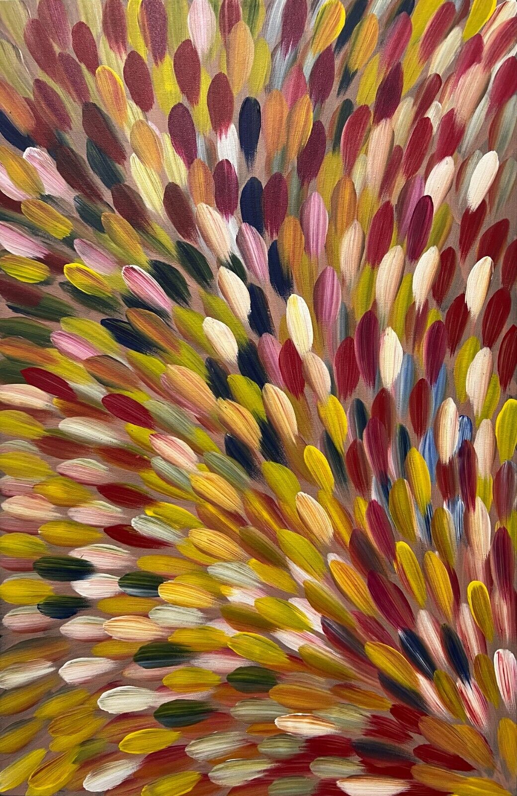 Imago Mundi Collection - Gloria Petyarre - Untitled