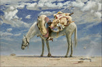 TIM STORRIER "Tully's Baggage" Hand Signed, Limited Edition Print 60cm x 90cm